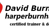 Harper Burnham & Associates