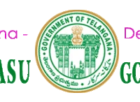 Sri Bhaktha Ramadasu Govt. College of Music and Dance