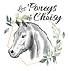 Les Poneys De Choisy