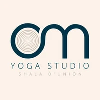 Shala Omm: Vinyasa, Ashtanga, Yin Yoga, Prénatal, Postnatal, Yoga Kids, Sonothérapie. Entreprise Workshops