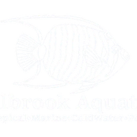 Millbrook Aquatics