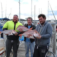 Batemans Bay Fishing Charters