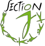 Section J Aerobic Stretching