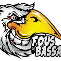 Les Fous de Bassan