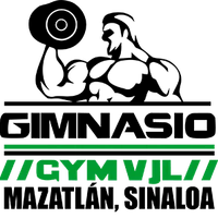 Gym VJL - Libramiento 2