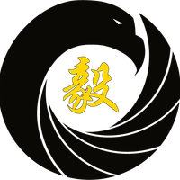 Team One Martial Arts
