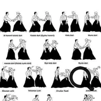 Ens Aikido Mtropolitain