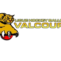 Ligue de Hockey Balle Valcourt