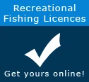 Go-fish-charters.com