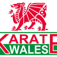 Torashin Karate Club