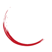 Badminton Lyon Sport Métropole