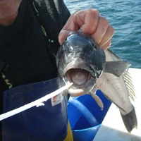 Tequila Fishing and Bird Watching Charters