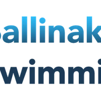 Ballinakill Outdoor Swimming Pool and playground