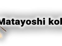 kenshinkan