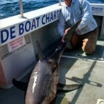 Broadside Boat Charter