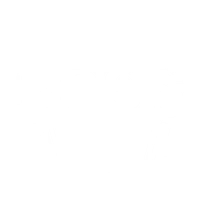 Boss Fitness