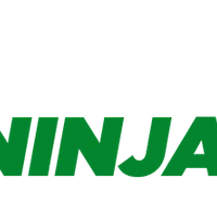 Elemental Ninja