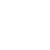 Pièces Détachées