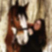 Equestrian Center Cl