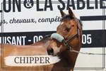 ASSOCIATION LE CARILLON