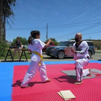 Etobicoke Taekwondo & Deh Camp After School