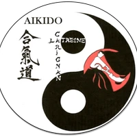 Aikido Carignan De Bordeaux