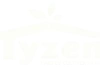 ty zen