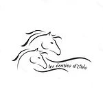 Pony Club De La Renaissance