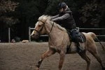 Equestrian Center La Loubière