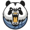 Panda Bonnac Basket