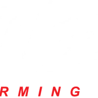 Danza Performing Arts