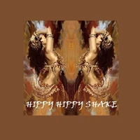 Hippy Hippy Shake Bellydance