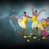 Emmerson School Of Dance