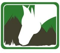 Mountain Pony