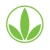 Absolute Wellness