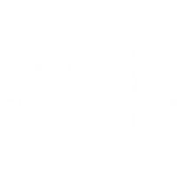 The Savage Studios