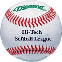 Hi Tech Softball League