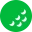 Tom Pipes Golf Coaching