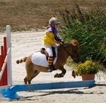 PONEY CLUB DE NANTEUIL