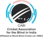 Cricket Association for the Blind in India