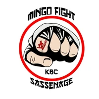 Karate Club De Sassenage