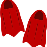 Flippers Swim School