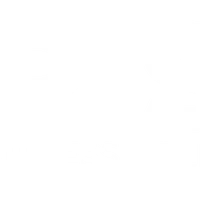 Rise Fitness Collective