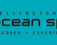Wellington Ocean Sports