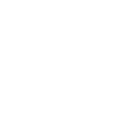 Triple Threat Gymnastics