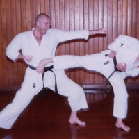 The Shinken Dojo