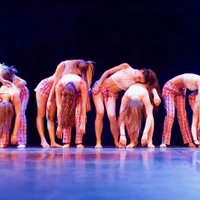 Art'danses - Ecole De Danse