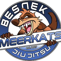 Besnek Jiu Jitsu