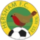 AFC Westend Football Club