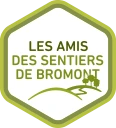 C1 Velo Hybride P1 Bromont